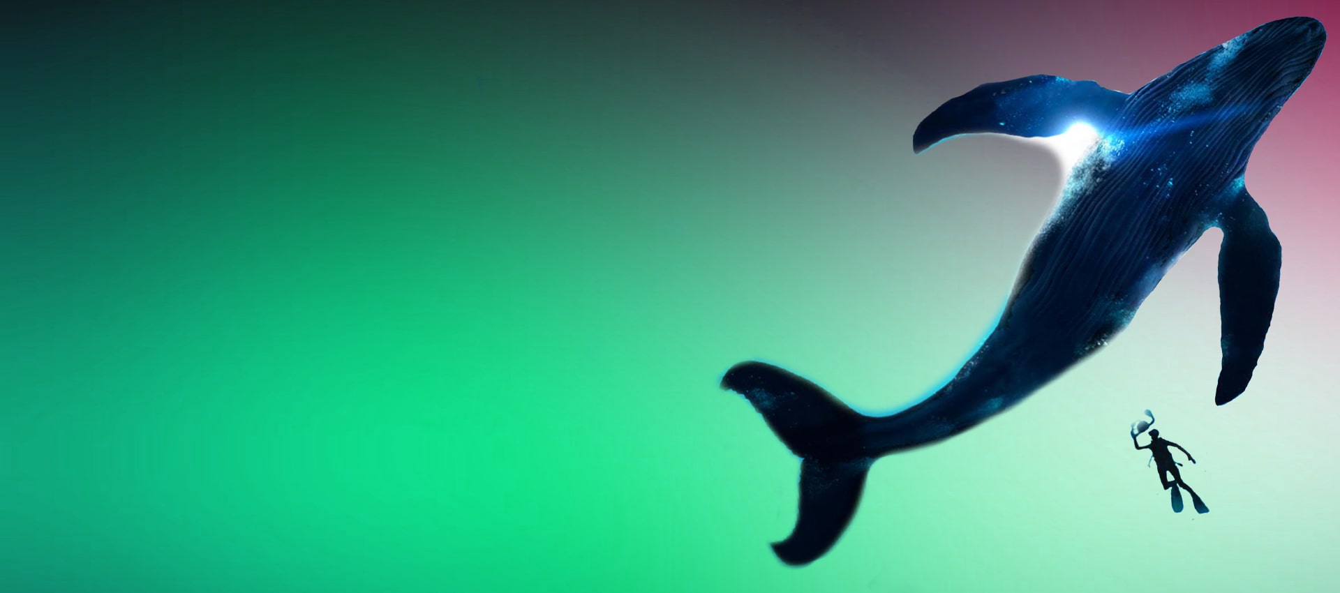 Розробка дизайну вашої реклами